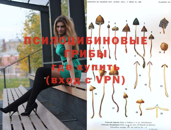 СК Баксан